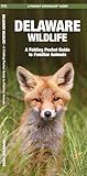 Delaware Wildlife (Nature Observation North America)