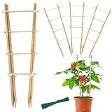 Bamboo Trellis 16" Ladder Vertical Gardening Plant Trellis for Climbing Plants Orchid Monstera and Indoor Potted Plants-6 Pack