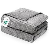 Wemore Minky Dot Weighted Blanket for Adults Queen Size 15 lbs, Soft Cozy Heavy Blanket for Stress Relief and Sleep Promotion, Breathable Blanket for All-Season with Glass Beads, Grey 60 x 80 inches