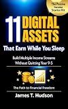 11 Digital Assets That Earn While You Sleep | Build Multiple Income Streams Without Quitting Your 9-5: Passive Income Starter Kit - The Path to Financial Freedom