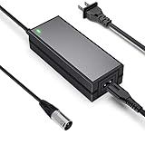 24V 2A Electric Scooter Battery Charger, Suitable for Go Go Elite Traveler, Pride Mobility, Jazzy Electric Chair Battery, and Plus Ezip Mountain Trailz 3-pin XLP Scooter Charger