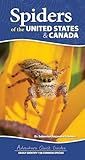 Spiders of the United States & Canada: Easily Identify 158 Common Species (Adventure Quick Guides)