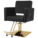 Artist hand Hair Salon Chair Black and Gold, Hydraulic Styling Chair with Heavy Duty Pump, 360 Degree Swivel Barber Chair, Beauty Salon Equipment for Hair Stylist, Max Load 330 Lbs