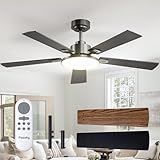 Passky Ceiling Fans with Lights, 52 inch Sleek Ceiling Fan with Light and Remote Control, 3CCT, Dimmable, Reversible, Noiseless, Black Ceiling Fan for Bedroom, Living Room