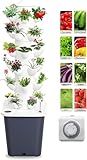 Vertical Hydroponic Tower Garden System - 6 Layer 30 Pods Hydroponic Grow Tower Kit with Water Pump & Timer, BPA-Free Modular Indoor/Outdoor for Strawberries, Tomatoes, Lettuce, Herbs (Black Base)