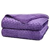 Alomidds Weighted Blanket, Luxury Velvet Weighted Blankets for Kids,Warm and Breathable Soft and Comfort Minky, Cute Heavy Blanket with Premium Glass Beads (41"x60" 7LBS, Purple)