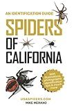 Spiders of California: An Identification Guide