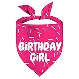 Birthday Girl Dog Bandanas 1 Pack, Pink Dog Scarfs for Puppy, Pet Scarves HBD Bandanas for Small Medium Large Dogs (Birthday Girl, One Size)