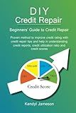DIY Credit Repair: Beginners' Guide to Credit Repair