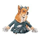 NFL Philadelphia Eagles Officially Licensed Cheer Dog Costume Includes Dress with Faux Stuffed arms and Tinsel pom-poms and Satin Bow Headband, Size L