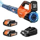 2025 Upgrade Leaf Blower, Leaf Blower Cordless with 2 * 2.6AH Batteries and Fast Charger, 450CFM &150MPH and 2 Speed Mode, Lightweight Electric Leaf Blowers for Lawn,Yard, Leaves, Dust,Snow Care