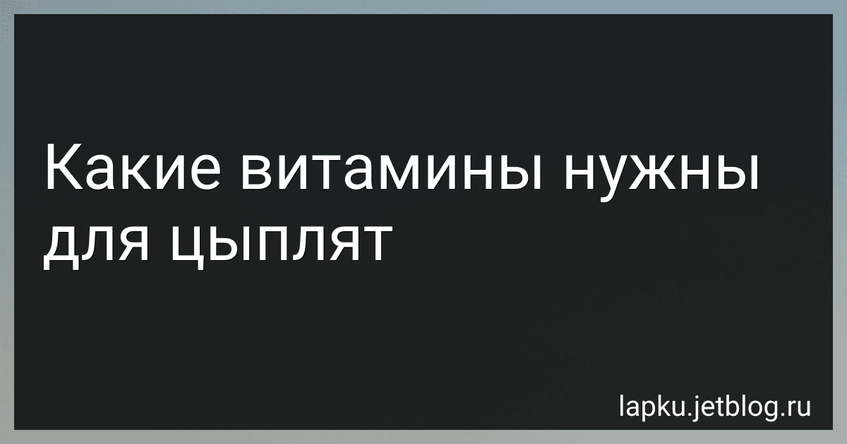 Какие витамины нужны для цыплят image