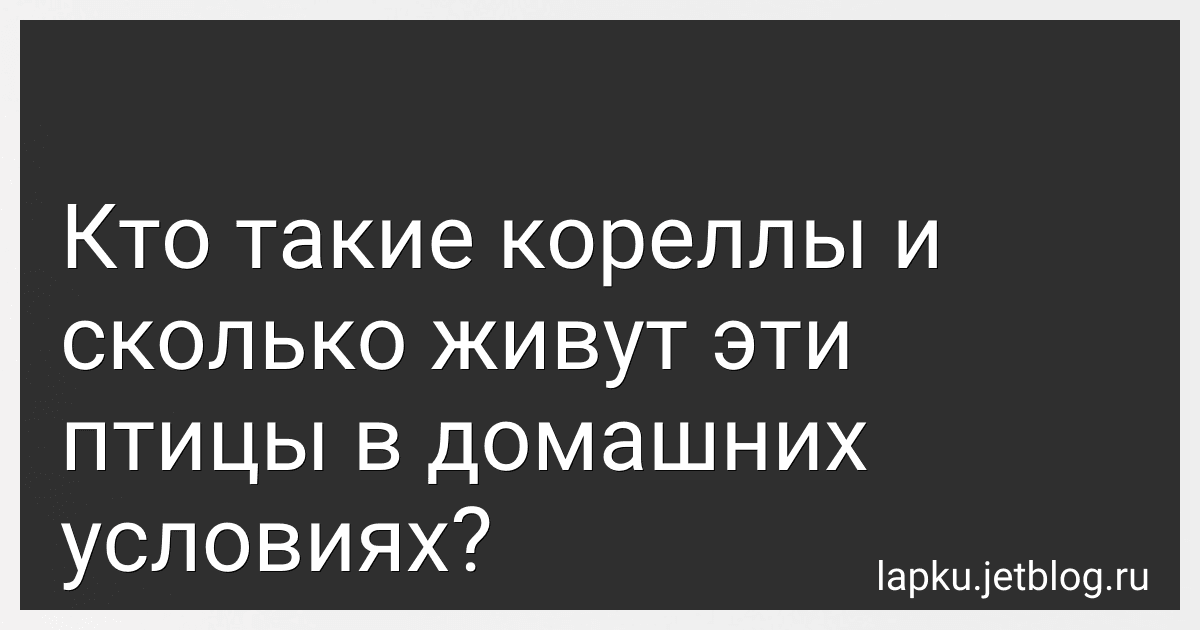 Кто такие кореллы и сколько живут эти птицы в домашних условиях? image