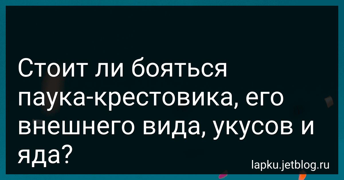 Стоит ли бояться паука-крестовика, его внешнего вида, укусов и яда? image