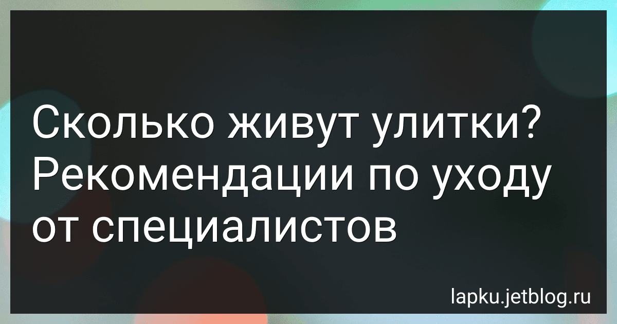 Сколько живут улитки? Рекомендации по уходу от специалистов image
