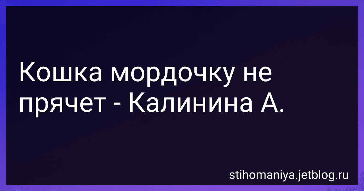 Кошка мордочку не прячет - Калинина А. preview