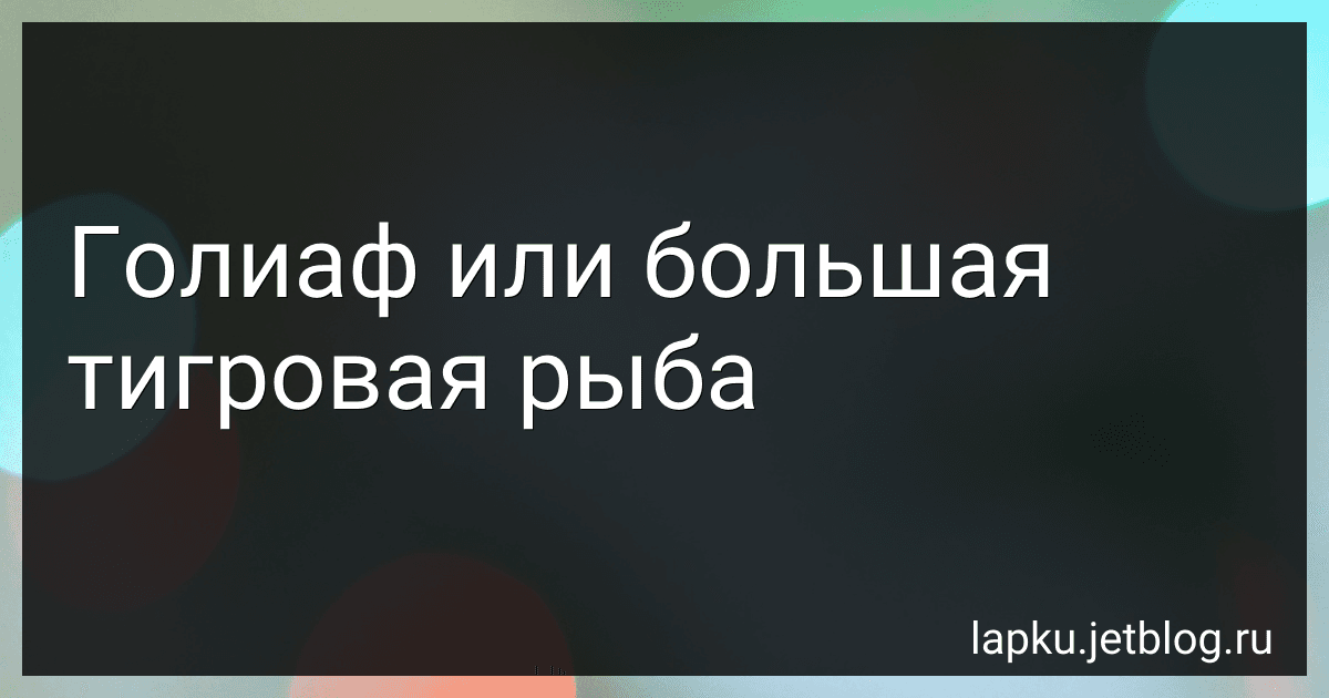 Голиаф или большая тигровая рыба preview