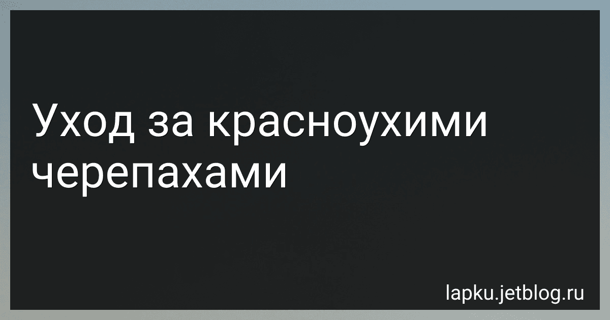 Уход за красноухими черепахами image