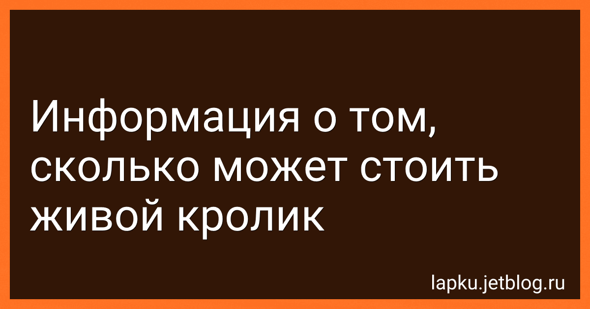 Информация о том, сколько может стоить живой кролик image