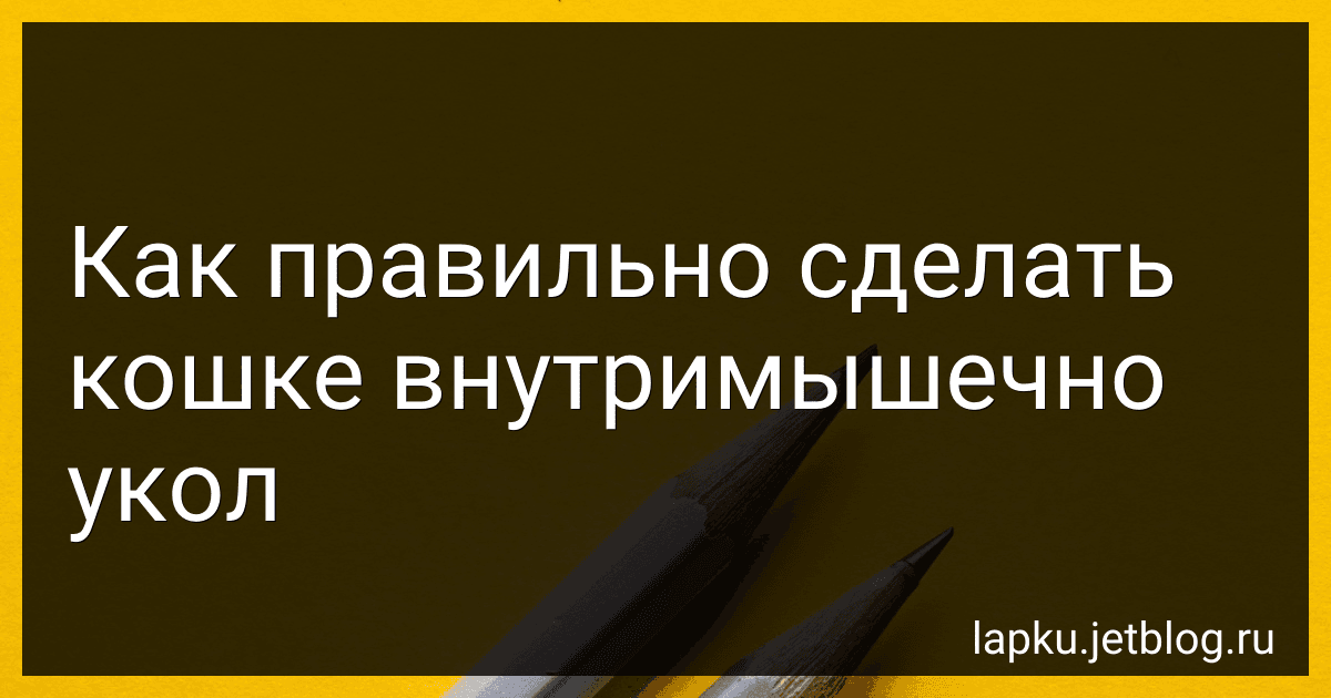 Как правильно сделать кошке внутримышечно укол image