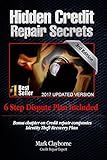 Hidden Credit Repair Secrets: How I Bounced Back from Bankruptcy (Volume 1)