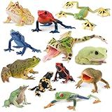 Toymany Frog Toy Figures, Plastic Rainforest Woodland Animals Toy Frogs Set with Realistic Poison Dart Frog, Cake Topper Party Favor Garden Flowerpot Plants Decor