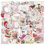 60pcs Coquette Stickers Cute Vinyl Laptop Stickers, Waterproof Aesthetic Stickers, Pink Sticker Pack for Girls Water Bottles Laptop Computer Phone Guitar (60 Coquette Stickers)