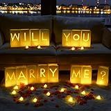 Homemory Will You Marry Me Light Up Letters Proposal Decorations with Flameless Candles and Fake Rose Petals, Valentine's Day Luminary Bags Decorations for Wedding Engagement
