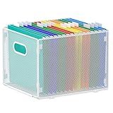 Samstar Hanging File Organizer, Mesh File Folder Organizer Crate Cabinet Inserts Storage Box, Letter Size,White