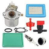Compatible Following models: Troy Bilt CSV-060 model 24A-060C711 chipper Shredder Vacuum Package Include: 1XCarburetor kit