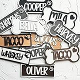Personalized Kennel Name Plate Dog Paw Crate Pet Tag Doghouse Sign,Custom Crate Sign,Dog Bone Name Sign,Pet Lover Gift