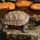 Danmu Polyresin Tortoise Statue, Outdoor Statue, Yard Decor for Home and Fairy Garden (L 12 9/10" x 9 2/5" x 5 1/2") 1 Pack