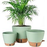 Fielda 8/10/12 Inch Self Watering Pots for Indoor/Outdoor Plants - Large Plastic Planter with Drainage Holes, Water Level Indicator & Deep Reservoir, Modern Decorative Flower Pots (Green)