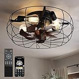 CubiCubi Modern Ceiling Fans, 20 Inch Black Ceiling Fan with Lights and Remote Control, APP, Fandelier with 6 Wind Speeds, Low Profile Ceiling Fans with Lights for Bedroom, Office