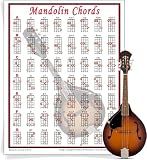 Mini Mandolin Chord Chart Poster - Laminated Mandolin Instrument Chart for Beginners and Musicians - Music Theory Poster with 56 Chords - Mandolin Accessories - 8.5" x 11" - Walrus Productions