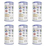 (Pack of 6) Intex 29000E/59900E Easy Set Pool Replacement Type A or C Filter Cartridge