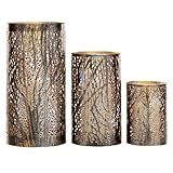 Deco 79 Metal Indoor Outdoor Candle Lantern Cutout Tree Branch Lantern Candle Holder with Gold Interior, Set of 3 Lantern 12", 9", 5"H, Bronze
