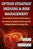 Option Strategy Hedging & Risk Management: An In-Depth Article Introducing an Interactive Analytical Framework for Hedging Option Strategy Risk