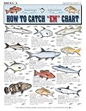 Saltwater Fish Identification Chart #1 - Waterproof Quick Reference Fishing Guide - Species ID + Fishing Methods - (Florida, Atlantic, Gulf of Mexico, and Caribbean) - Great Gift for Beginners
