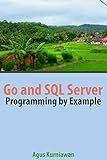 Go and SQL Server Programming By Example