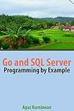 Go and SQL Server Programming By Example