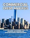 Commercial Credit Analysis: A Practical Guide to Techniques, Tools, and Strategies for Assessing and Approving Business Creditworthiness (Finance Series)