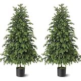 2Pcs 4FT Artificial Norfolk Pine Christmas Potted Trees for Porch Decor | With Pot, No Assembly Required, Fake Potted Plants, Realistic Greenery Pine Tree, for Outdoor/Front Door/Farmhouse/Home Decor