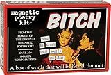 Bitch-Magnetic Poetry Kit