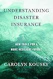 Understanding Disaster Insurance: New Tools for a More Resilient Future