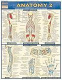 Anatomy 2 - Reference Guide (8.5 x 11): a QuickStudy Laminated Reference Guide (Quick Study Academic)