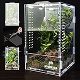 Acrylic Jumping Spider Habitat, Insect Terrarium, Bug Enclosure, Praying Mantis Habitat, Frog Enclosure