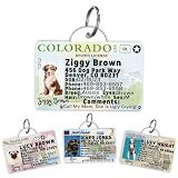 PawFurEver Personalized Dog Driver License ID Tag for Dogs & Cats - Custom Pet License Dog ID Tags Personalized Heavy Duty with Name, Photo & Phone Number, 50 States + DC (Colorado, Tag)