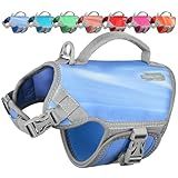 VIVAGLORY Neoprene Dog Life Vest, Dog Life Jacket for Swimming & Boating, Lightweight & Buoyancy for Puppy Doggy, Swimming Vest with Handle, XS, Blue Wave