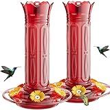 Birdream Hummingbird Feeders for Outdoors Hanging 20 Ounces 10 Feeding Ports, 2 Pack Plastic Humming Bird Feeder with Ant Moat Brush Leak Proof - Solid Red